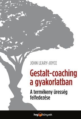 Gestalt-coaching a gyakorlatban