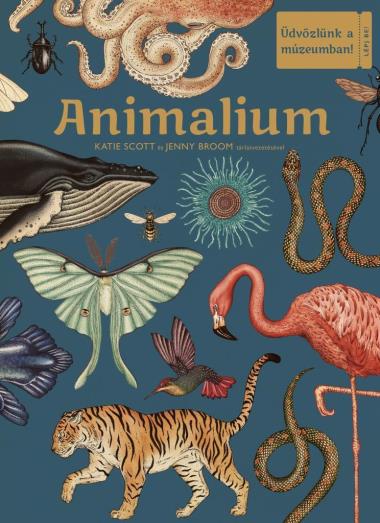 Animalium –  Üdvözlünk a múzeumban!