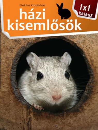 1x1 Házi kisemlősök