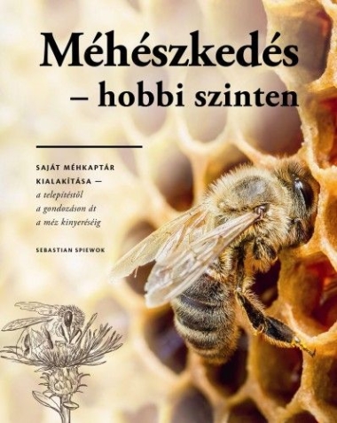 Méhészkedés - hobbi szinten