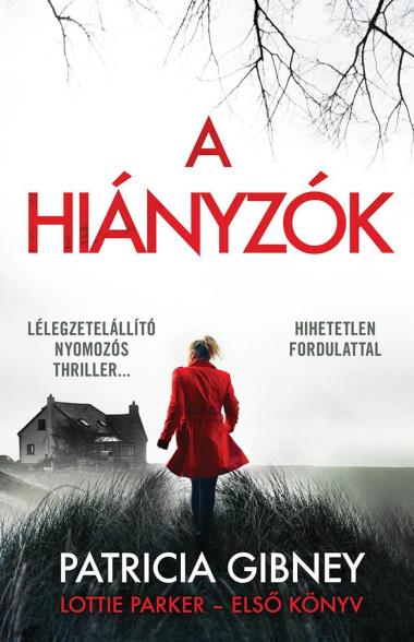 A hiányzók - Lottie Parker - Első könyv