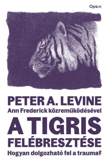 A tigris felébresztése