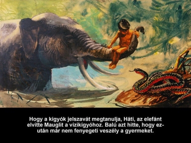 Maugli, a farkasok fia - Diafilm