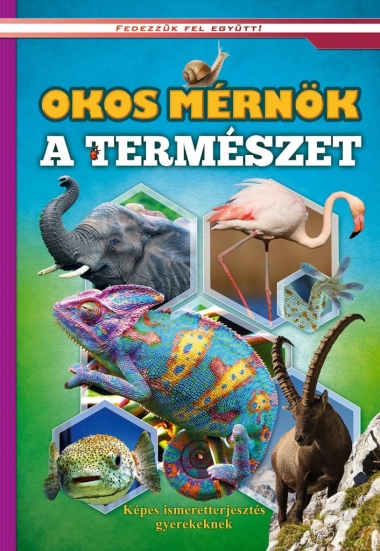 Okos mérnök a természet - Képes ismeretterjesztés gyerekeknek - Fedezzük fel együtt!