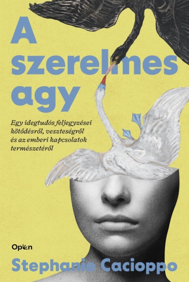 A szerelmes agy