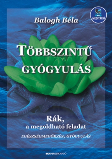 Többszintű gyógyulás - letölthető mp3-melléklettel