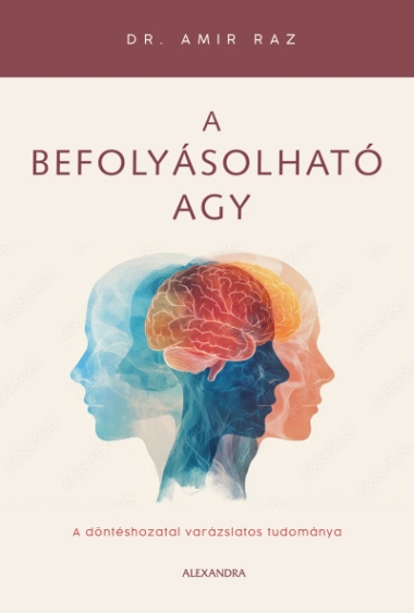 A befolyásolható agy