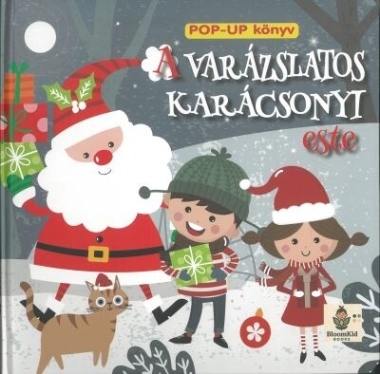 Varázslatos karácsonyi este - Pop-Up könyv