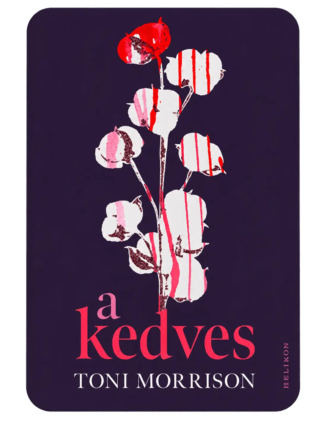 a_kedves.webp