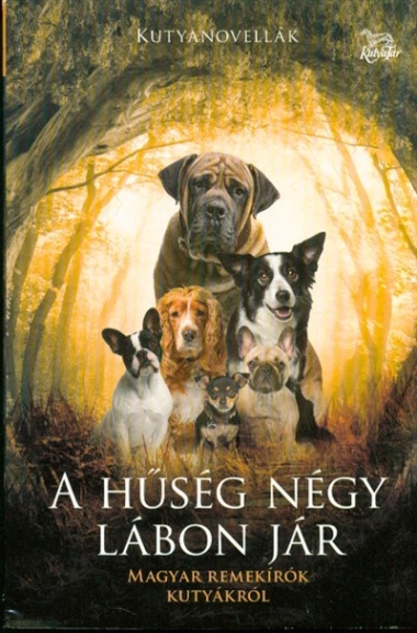A hűség négy lábon jár