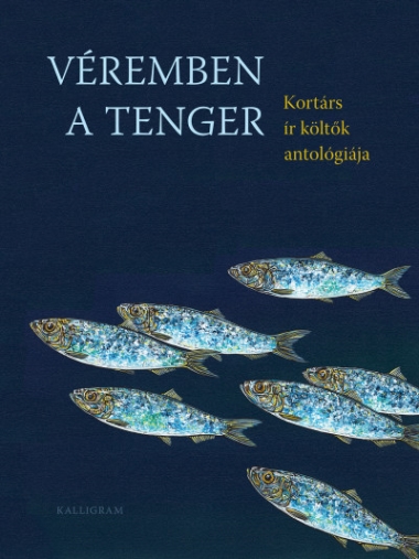 Véremben a tenger - Kortárs ír költők antológiája